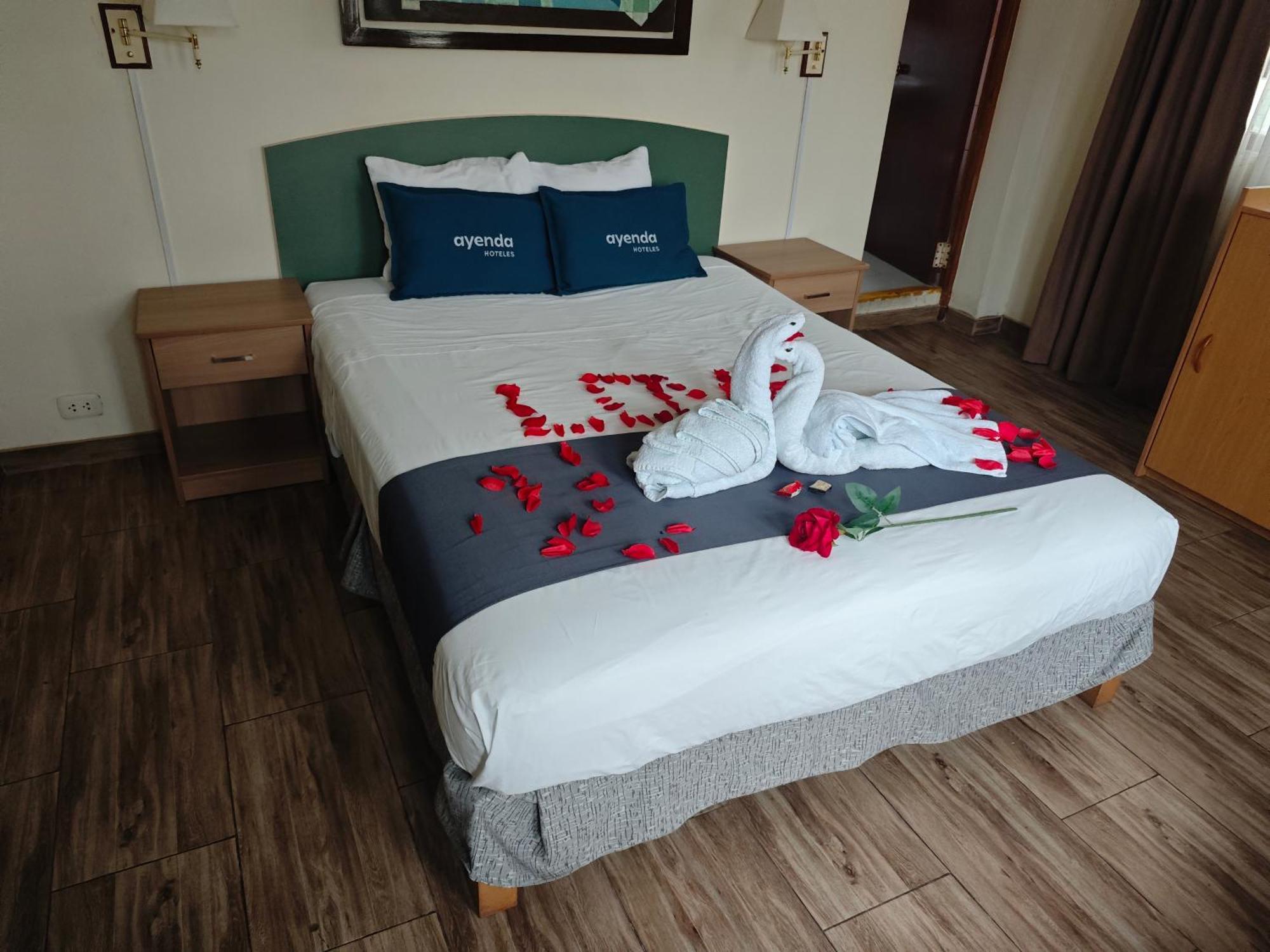 Hotel San Isidro Inn ليما الغرفة الصورة